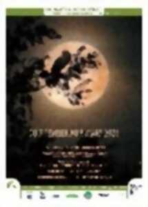 photo Exposition / Escape Game - Expédition libellules