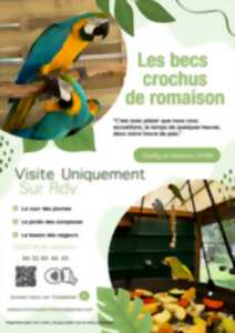 photo Visite pédagogique des Becs Crochus