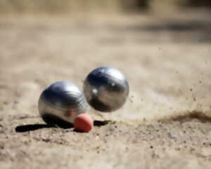 photo Concours de Pétanque en doublette montée