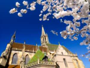 photo Concert : Feu sacré