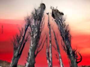 INCENDIES DE L'AUDE EN 2025 TRAGÉDIE ET ESPOIR