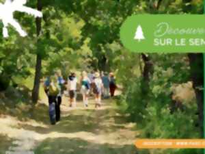 photo DÉCOUVERTE DE LA FÔRET SUR LE SENTIER DU CAMPÉRIÉ