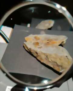 photo Intervention d'Ammonite 50 dans l'exposition 