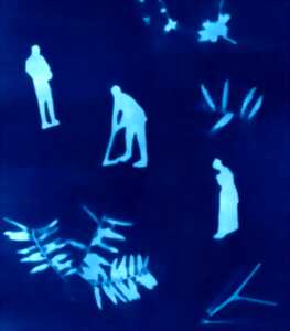 photo Atelier famille : studio cyanotype