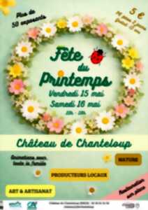 photo Fête du Printemps - 4e édition