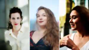 photo Concert Les Fieffées Musiciens fêtent l'Irlande avec Trio Malibran