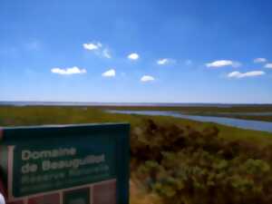 photo La plage et les dunes