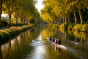 photo RALLYE DU CANAL DU MIDI EN AVIRON - ETAPE 2 - AYGUESVIVES – PORT LAURAGAIS