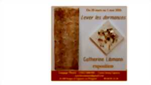 photo Exposition Catherine Libmann - Plasticienne de la fibre