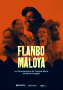 Flanbo Maloya