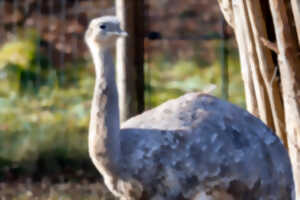 photo Visite guidée : Charles Darwin et son voyage autour du monde