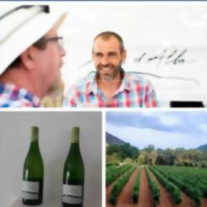 photo BALADE DES SAVEURS– IMMERSION AU CŒUR DU VIGNOBLE