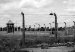 photo Journée des victimes de la déportation