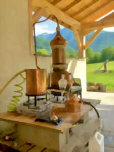 photo Atelier distillation