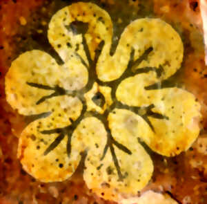 photo Fleur, basilic ou chevalier ? - Atelier vacances