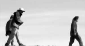 photo RAMAILLAGES EN CÉVENNES