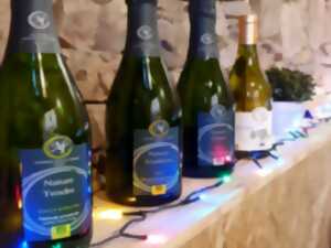 photo ARTISTES À SUIVRE 2026 - VIGNOBLE NICOLAS THÉREZ