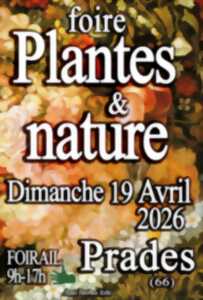 photo FOIRE AUX PLANTES & NATURE