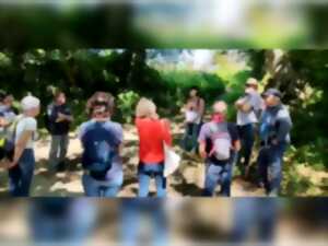 photo L'histoire du bocage