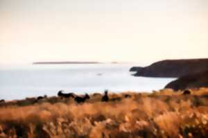 photo Sû la mé : Excursion week-end à Aurigny