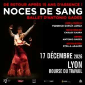 photo Noces de Sang - Un ballet d'Antonio Gades & Carlos Saura - Bourse du Travail - Lyon