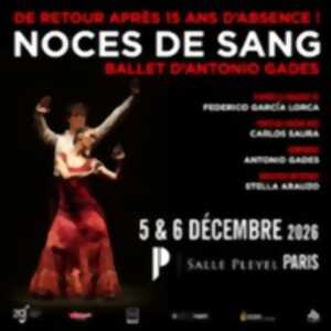 photo Noces de Sang - Un Ballet d'Antonio Gades & Carlos Saura - Salle Pleyel, Paris