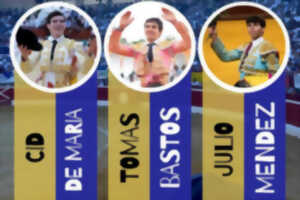 photo Novillada piquée