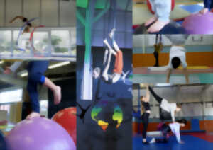 photo Stage de cirque avec l'école de cirque Cirk'en sphère