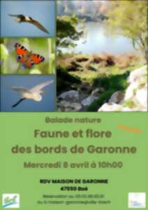 photo Balade nature « faune et flore des bords de Garonne »