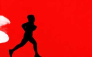 photo Trail Nature Isle