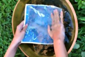 photo Atelier : Cyanotype : le petit peuple du jardin