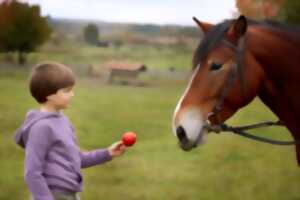 photo Groupe médiation équine
