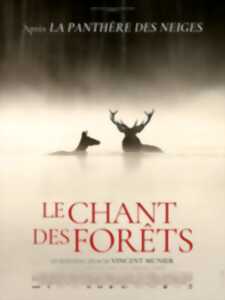 photo Cinéma à  Bugeat : Le chant des forêts