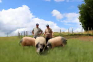photo GAEC DE LA VACHE NOIRE - ÉTÉ À LA FERME -