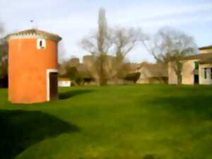 photo Initiation toiture végétale