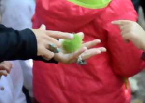 photo La magie des plantes : se préparer à l'hiver en douceur