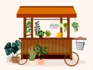 photo Marchés aux plantes