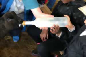 photo Les Sabots de laine accueillent le printemps