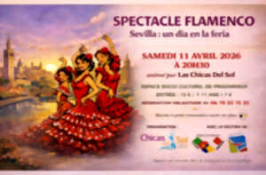 photo Spectacle flamenco