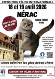photo Exposition féline internationale