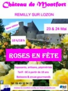 photo Roses en fête