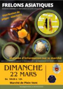 photo MATINÉE D'INFORMATION SUR LE MARCHÉ : FRELONS ASIATIQUES