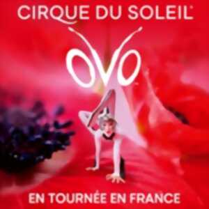 photo Cirque du Soleil - Ovo - Tournée