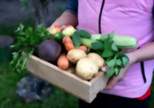 photo Événement Nature & Vous - Manger malin : Au rythme des saisons
