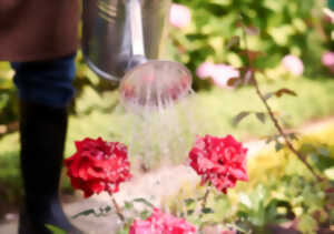 photo Événement Nature & Vous - Un potager économe en eau