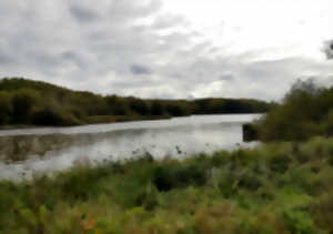 photo Événement Nature & Vous - Voyageurs ailés : les secrets de la migration