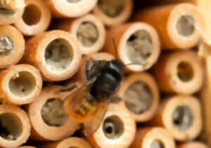photo Événement Nature & Vous - Bienvenue aux petits habitants du jardin !