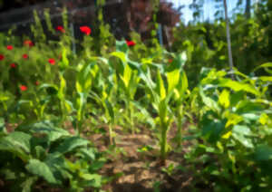 photo Événement Nature & Vous - Secrets et astuces d'un potager au naturel