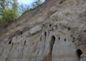 photo Événement Nature & Vous - Visite de la sablière d'Hamel