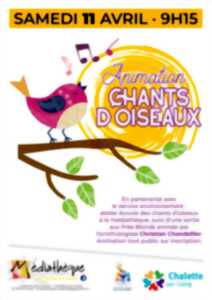 photo Atelier écoute des chants d’oiseaux